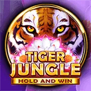 Mẹo và chiến lược chơi slot hiệu quả tại shbet88